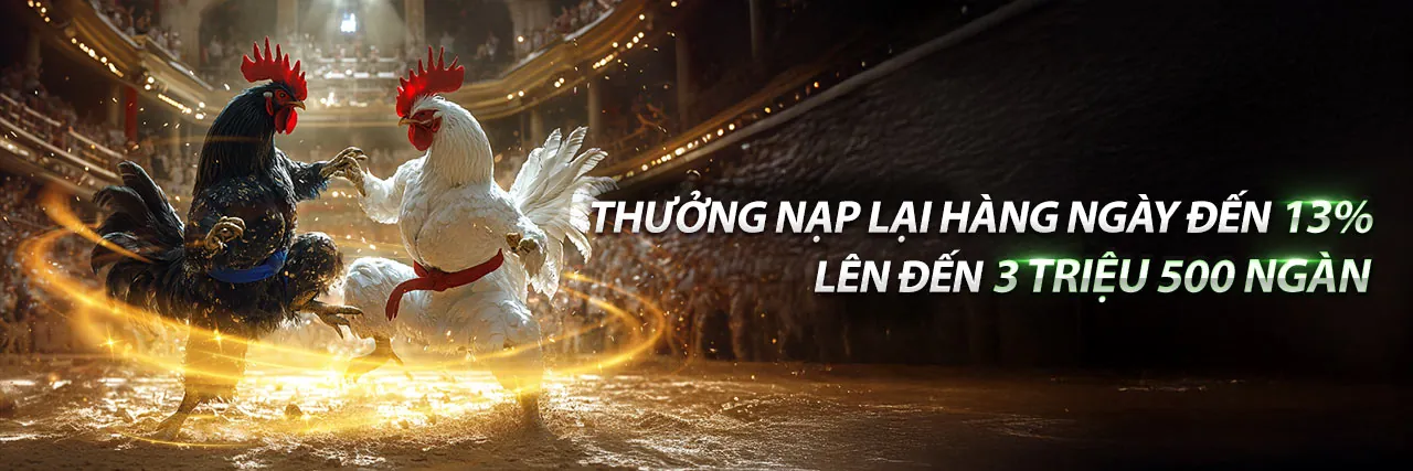 Đá Gà Trực Tuyến Betcom88